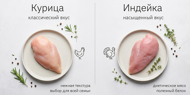 Сравнение котлет из курицы и индейки